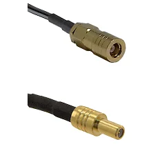 fieldcomponents202607171949281851115
