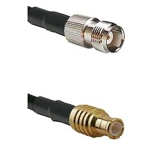 fieldcomponents202607172212191881475