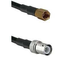 fieldcomponents202607172217451882483