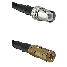 fieldcomponents202607172230381884812