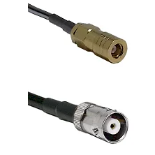 fieldcomponents202607172319011891591