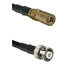 fieldcomponents202607172341331895639