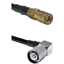 fieldcomponents202607172343281895955