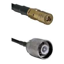 fieldcomponents202607172345331896307
