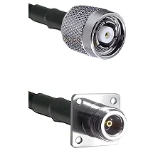 fieldcomponents202607180002251899116