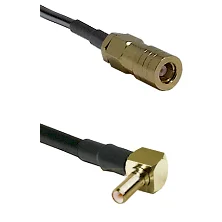 fieldcomponents202607180003021899223