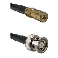 fieldcomponents202607180307521936037