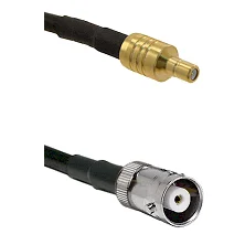fieldcomponents202607180353491945832