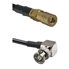 fieldcomponents202607180613561975826