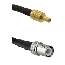 fieldcomponents202607180626471978562