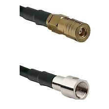 fieldcomponents202607180652341983904