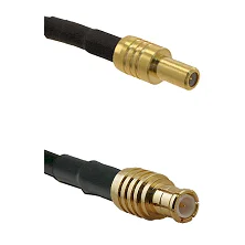 fieldcomponents202607180710221988054