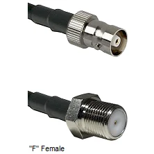 fieldcomponents202607180833272005985