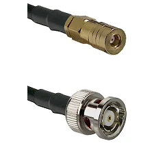 fieldcomponents202607181329082079605