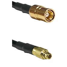 fieldcomponents202607181442312100937