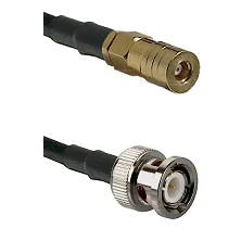 fieldcomponents202607181659222135868