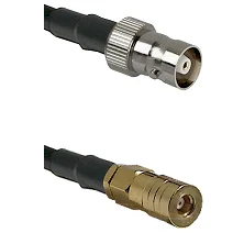 fieldcomponents202607182044372195115