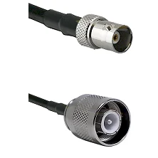 fieldcomponents202607182110002200380