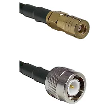 fieldcomponents202607182325082232470