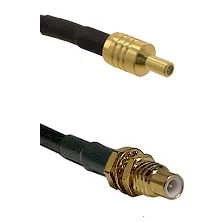 fieldcomponents202607190000402240812