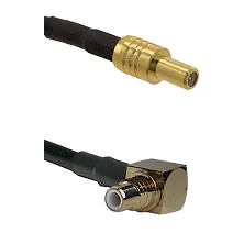 fieldcomponents202607190007062242219
