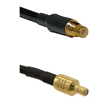 fieldcomponents202607190010042242840