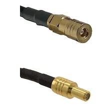 fieldcomponents202607190015002243980