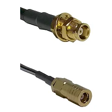 fieldcomponents202607190053462253085