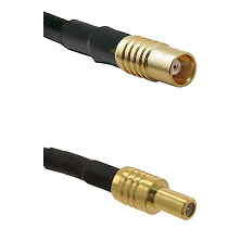 fieldcomponents202607190055522253583