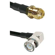 fieldcomponents202607190107422256492