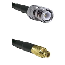 fieldcomponents202607190129032261231
