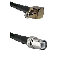 fieldcomponents202607190129402261358