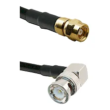 fieldcomponents202607190137372263117