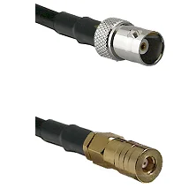 fieldcomponents202607190147522265393