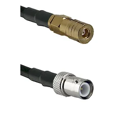 fieldcomponents202607190154182266890