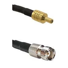fieldcomponents202607190158092267750