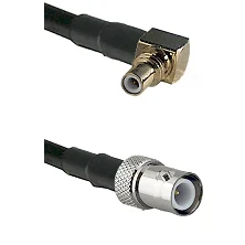 fieldcomponents202607190203372268874