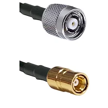 fieldcomponents202607190325072290243