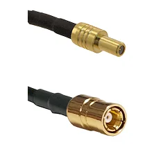 fieldcomponents202607190344422295959