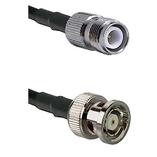 fieldcomponents202607190349352297323