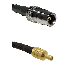 fieldcomponents202607190354222298736