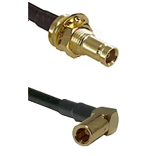 fieldcomponents202607190356132299239