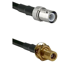 fieldcomponents202607190434092309855