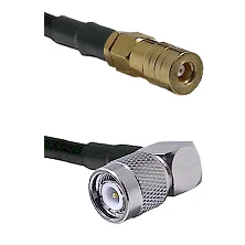 fieldcomponents202607190458412316857