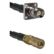 fieldcomponents202607190501292317674