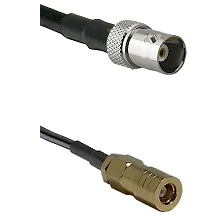 fieldcomponents202607190509542320121