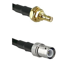 fieldcomponents202607190512392320949