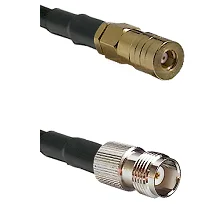 fieldcomponents202607190515572321943