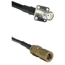 fieldcomponents202607190516292322125
