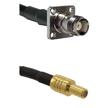 fieldcomponents202607190533182326506